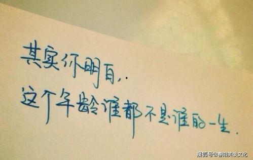 娱乐吃瓜酱伤感语录短句,娱乐吃瓜酱的内心独白